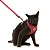 Conjunto Peitoral Neocomfy e Guia para Gatos - Imagem 5