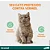 Drontal Vermicida para Gatos Elanco 4 comprimidos - Imagem 3