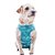 Roupa Pós Cirúrgica Pet Med Regular Dry Light Supreme Verde para Cães - Imagem 1