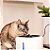 Fonte Bebedouro Jambo Pet para Gatos - Imagem 4