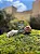 NATUKA-KNOT-COURO-BOV-1-UND - Imagem 3