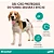 Drontal Plus + Sabor para Cães 10kg 2 Comprimidos - Imagem 4