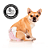 Fralda Higiênica Fêmea Dogs Care 6 unidades M - Imagem 2
