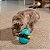Brinquedo Educativo para Petiscos – Gatos - Imagem 3