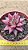 Echeveria agavoides celestia - Imagem 6