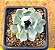 Echeveria angel - Imagem 2