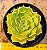 Echeveria brown rose - Imagem 1