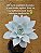 Echeveria cante - Imagem 7