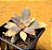 Echeveria carnicolar variegata - Imagem 3