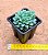 Echeveria chrissy ryan - Imagem 3