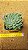 Echeveria chrissy ryan - Imagem 1