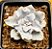 Echeveria crispate beauty - Imagem 1