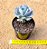 Echeveria cubic frost - Imagem 3