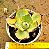 Agave potatorum variegata - Imagem 1