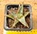 Aloe bright star - Imagem 2