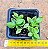 Aptenia cordifolia - "Rosinha-do-sol" - Imagem 2