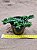 Crassula argentina - Imagem 5