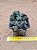 Crassula capitella thyrsiflora - Imagem 7