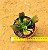Crassula ovata hobbit fiona - Imagem 3
