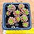 Cremmosedum little gem - Imagem 1
