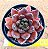 Echeveria gotica - Imagem 2