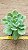 Echeveria lawrence - Imagem 1