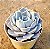 Echeveria lilacina - Imagem 2