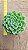 Echeveria lime n chile - Imagem 6