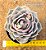 Echeveria lotus - Imagem 5