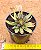 Echeveria lutea marron - Imagem 3