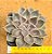 Echeveria mensa - Imagem 1