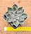 Echeveria mensa - Imagem 3