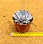 Echeveria morning light - Imagem 4