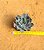 Echeveria neon breakers - Imagem 5
