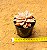 Echeveria paniculata horst - Imagem 4