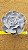 Echeveria pollux - Imagem 5