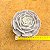 Echeveria pollux - Imagem 3