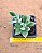 Echeveria pulvinata - Imagem 3