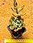 Echeveria pulvinata - Imagem 3