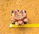 Echeveria rose crown - Imagem 3