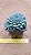 Echeveria rundelli - Imagem 2