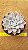 Echeveria snow bunny - Imagem 4