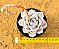 Echeveria white rabit - Imagem 2