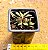 Gasteria gracilis variegata - Imagem 3