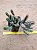 Huernia hystrix - Imagem 1