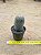 Mammillaria matudae - Imagem 2