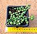 Senecio rowleyanus - Imagem 1
