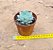 Echeveria cuspidata zaragosa - Imagem 4