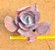 Echeveria mauna - Imagem 6