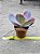 Echeveria mauna - Imagem 2
